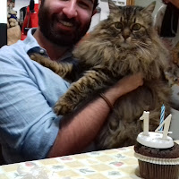 Un compleanno felino... di 