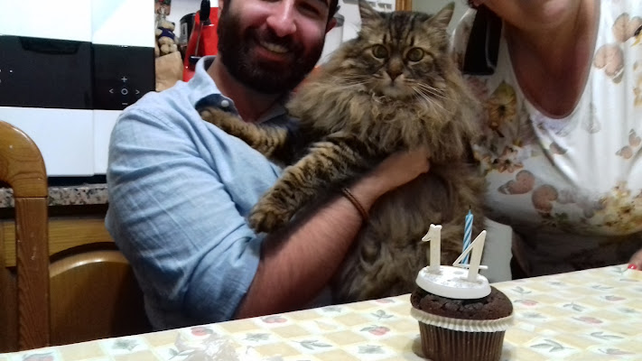 Un compleanno felino... di Pinino