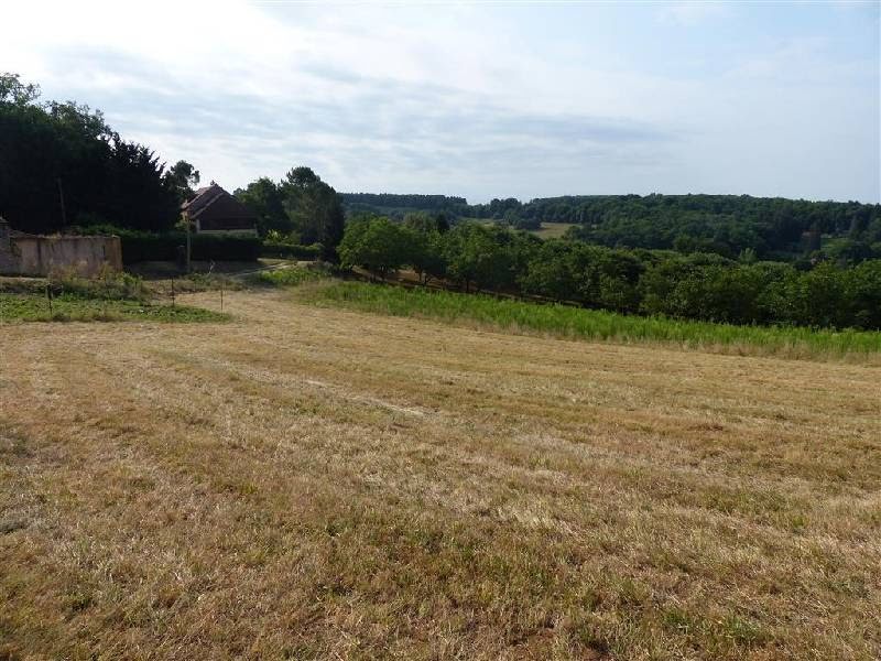 Vente terrain  4616 m² à Prats-du-Périgord (24550), 66 000 €