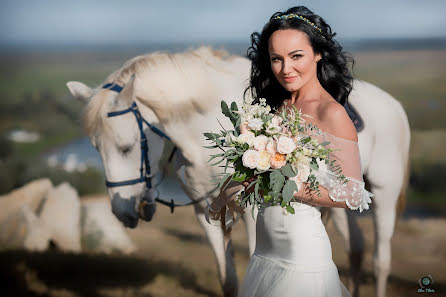 Fotografo di matrimoni Aleksandr Tilinin (alextilinin). Foto del 22 gennaio 2017