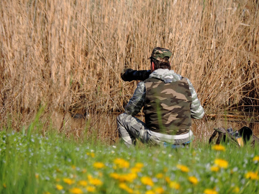 birdwatching di renzo brazzolotto