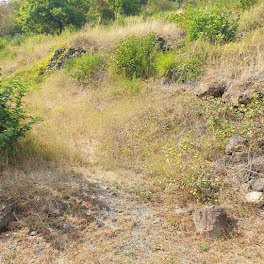 terrain à Ceyssac (43)