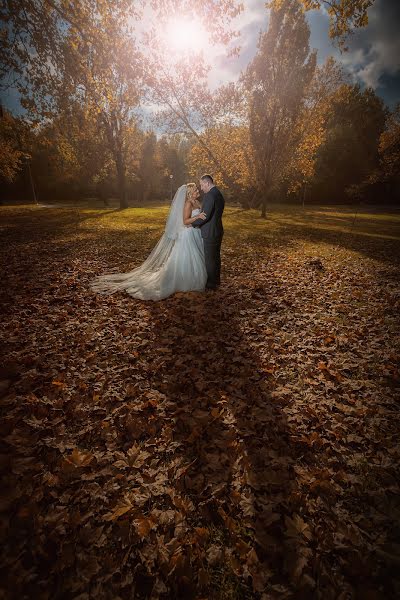 Fotografo di matrimoni Bojan Dzodan (dzodan). Foto del 15 giugno 2017