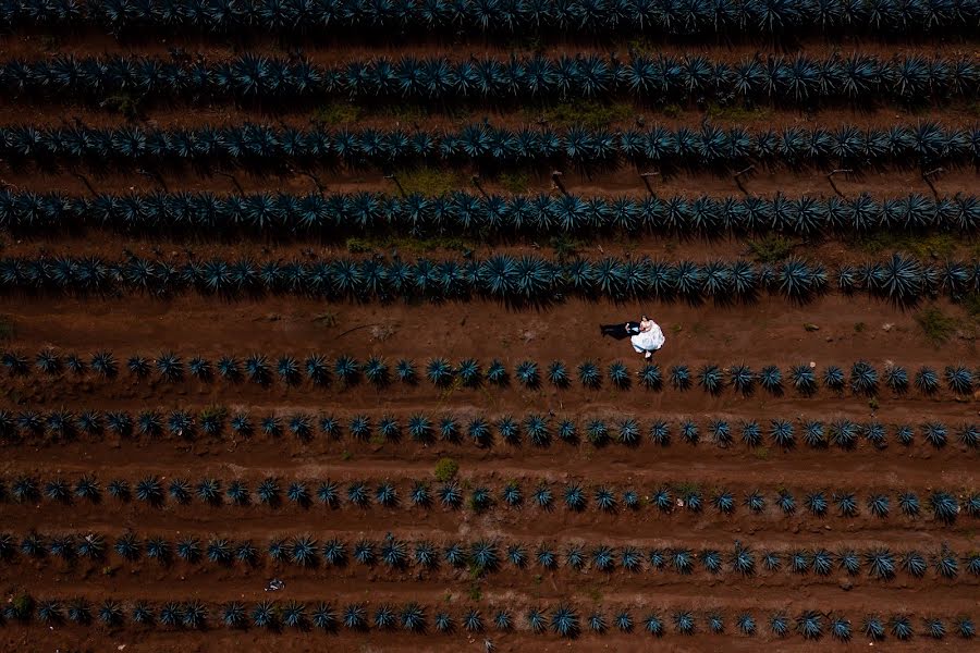 Fotógrafo de bodas Yamil Calderon (yamil). Foto del 29 de abril