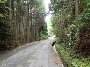 最後は林道歩き