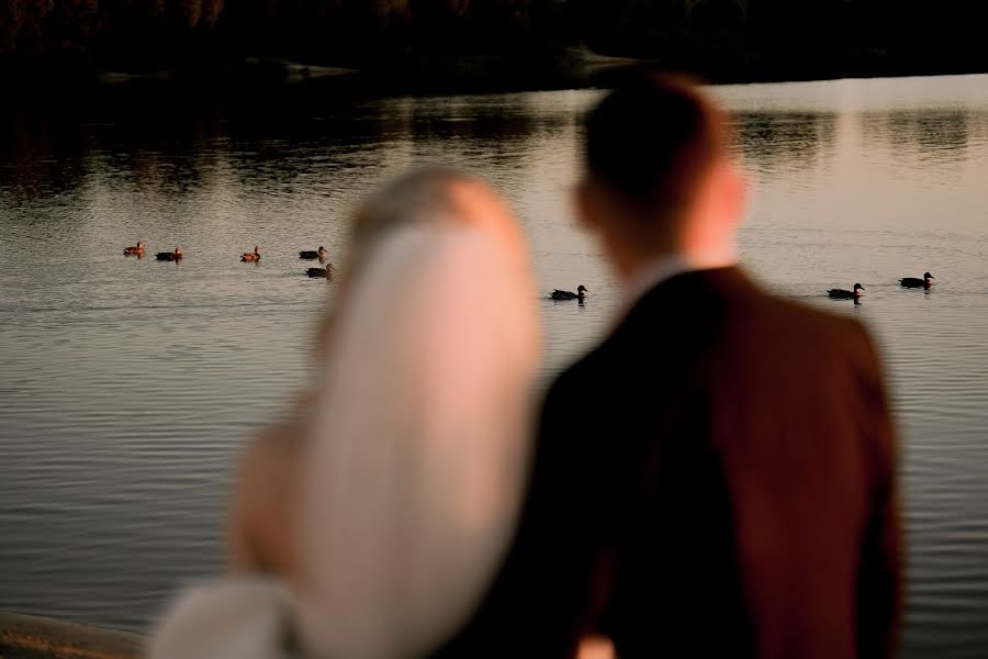 शादी का फोटोग्राफर Nikolay Filimonov (filimonovphoto)। मई 12 का फोटो