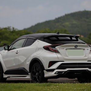 C-HR ZYX10