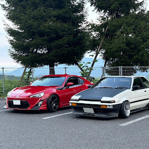 86 ZN6
