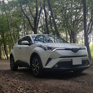 C-HR ZYX10