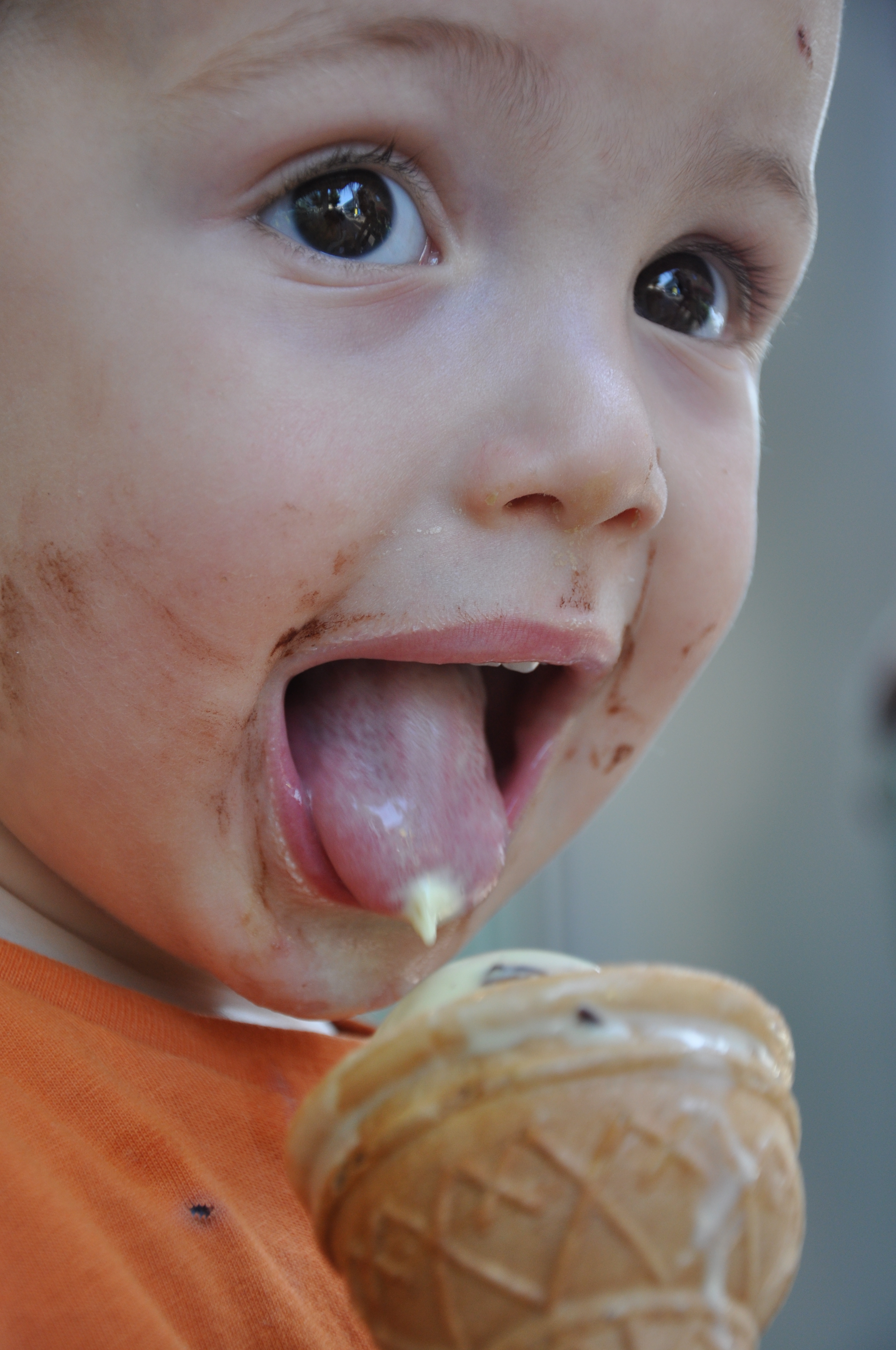 solo gelato Made in Italy di bennardo