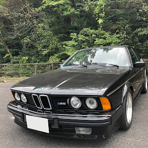 M6 E24