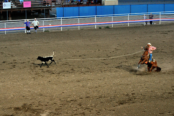 Rodeo! di photofabi77