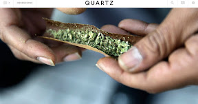 http://qz.com/381500/eaze-pot-delivery-service-lands-an-investment-from-snoop-doggs-venture-firm/