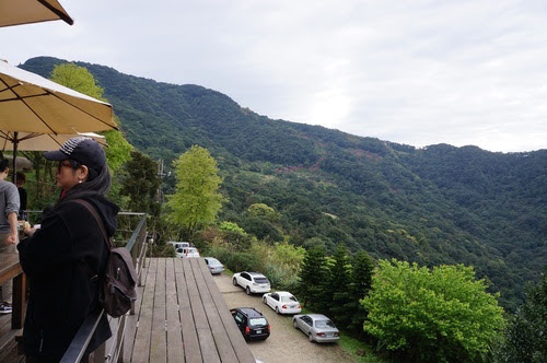 新北景點推薦-三峽秘境【台灣農林熊空有機茶園】