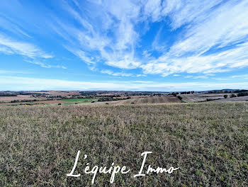 terrain à Lombez (32)