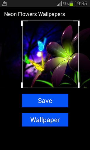 免費下載個人化APP|Neon Flowers Wallpapers app開箱文|APP開箱王