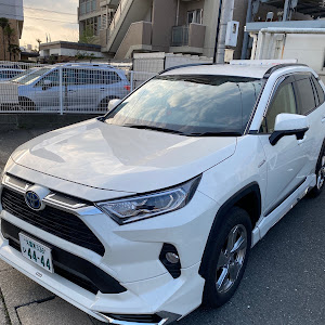 RAV4 MXAA52