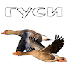 Decoy on gooses icon