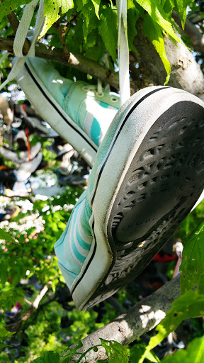 Shoe Tree