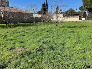 maison neuve à Blagnac (31)