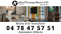 Groupe Monts d’or Immobilier Arlim Prestige