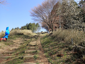 山頂が見えてきた