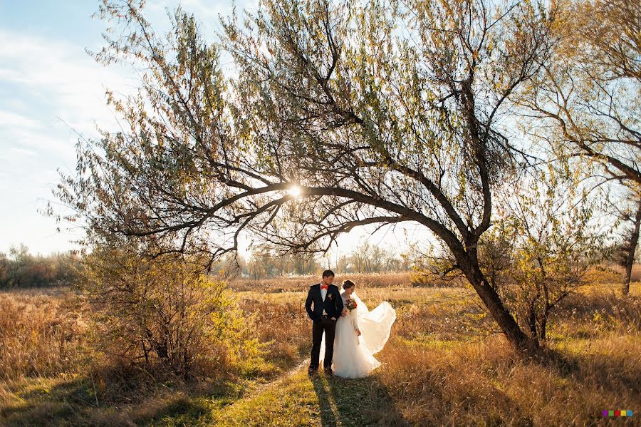 Photographe de mariage Ruslan Shramko (rubanok). Photo du 26 octobre 2014