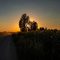 Luci di campagna di 