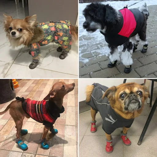 Pet Dog Shoes Winter Super Warm 4pcs/set Dog's Boots Cotton Anti Slip Shoes for Small Pet Product Chihuahua Waterproof