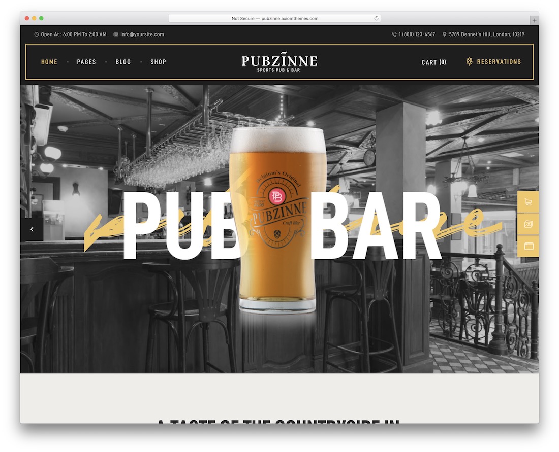 tema pubzinne wordpress para pubs