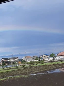 大人ｶﾓｼﾚﾅｲ