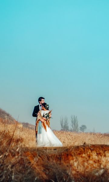 Wedding photographer Anna Lysa (annalysa). Photo of 2 February 2019