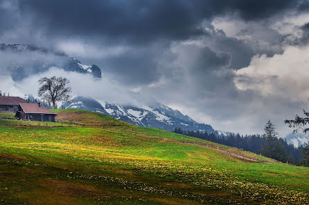 Fotografer pernikahan Dmytro Sobokar (sobokar). Foto tanggal 17 Juni 2016