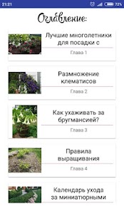 Декоративные кустарники - náhled