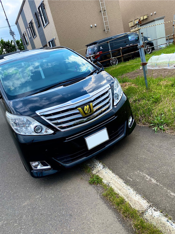 アルファードの20アルファード・双子・仲良し？笑・風強いなー・アルヴェルに関するカスタム事例の投稿画像1枚目