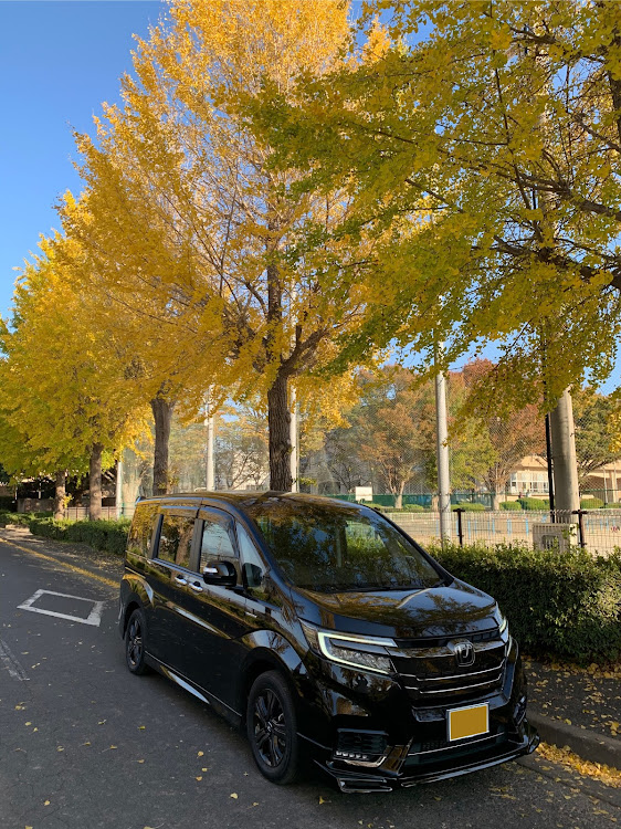ステップワゴンのコロナウイルスに負けるな・無限MUGEN・愛車に感謝・紅葉に関するカスタム事例の投稿画像1枚目