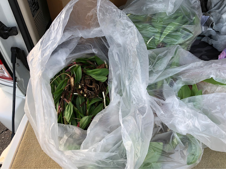 ゆうと　さんが投稿したカスタム事例の投稿画像2枚目