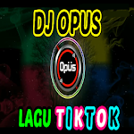 Cover Image of Download DJ Aku Suka Bodi Mama Muda 1.1 APK