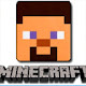 Minecraft Survival Game