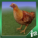 Happy Chicken Simulator