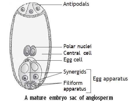 Solution Image