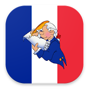 French Constitution  Icon