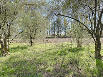 terrain à Loriol-du-Comtat (84)