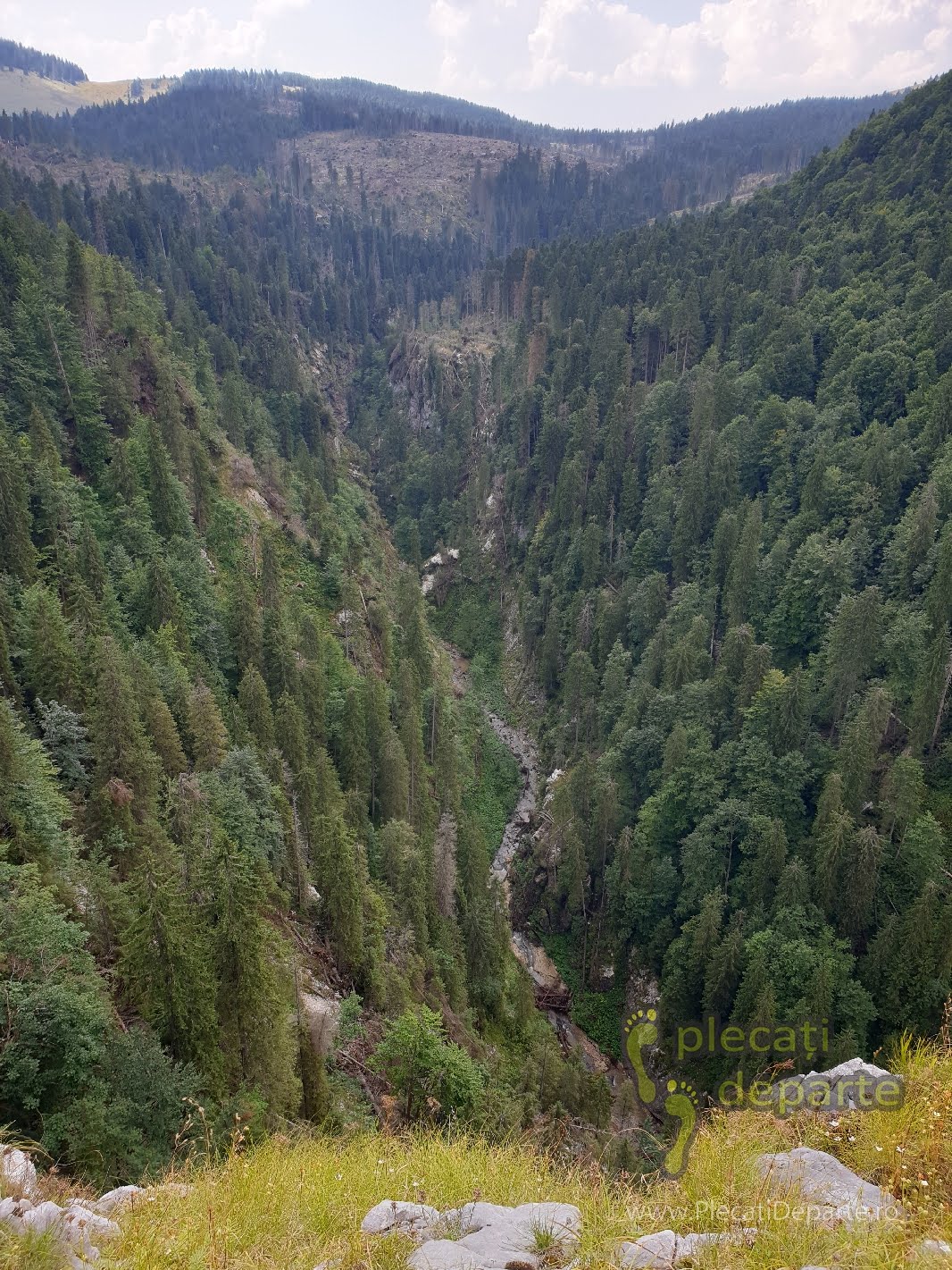 Taieri de Paduri pe Circuitul Somesului Cald, defrisari Apuseni, taieri de paduri Apuseni, taieri ilegale Apuseni, trasee padis apuseni, parcul natural apuseni obiective turitice,