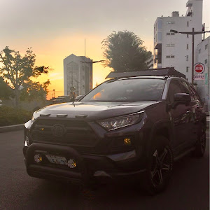 RAV4 MXAA54