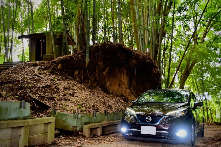 ノートeパワーのHE12・ロケハンドライブ・近場スポット探し・竹林・切り通しに関するカスタム事例の投稿画像1枚目