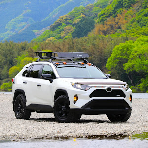 RAV4 MXAA54