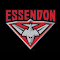 Item logo image for Essendon Theme