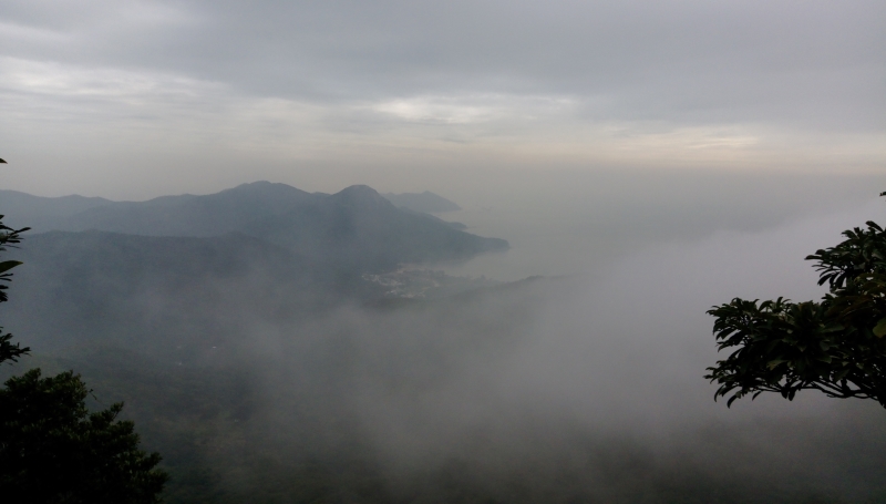 大東山梅窩