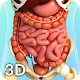 Digestive System Anatomy Download on Windows